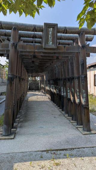 宮地神社の参拝記録(こまいぬおさん)