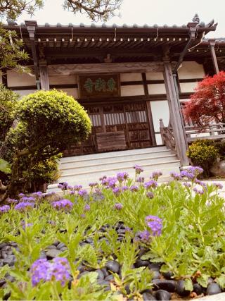 東漸寺の参拝記録(tsuさん)