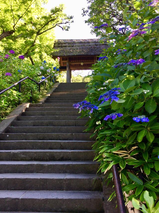 神奈川県鎌倉市山ノ内1367 松岡山 東慶寺の写真7