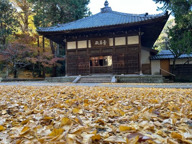金寶山 浄智寺の参拝記録10