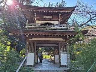 金寶山 浄智寺の参拝記録(まーさんさん)
