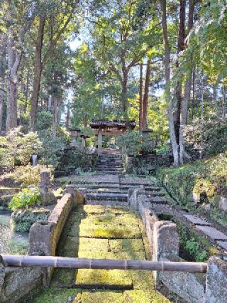 金寶山 浄智寺の参拝記録(まーさんさん)