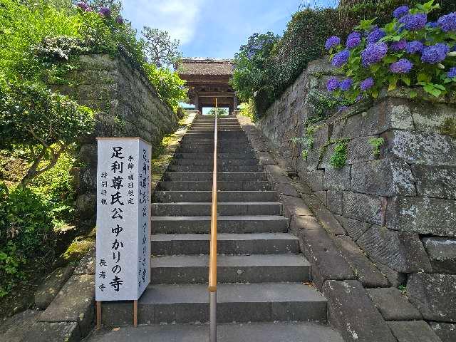 宝亀山 長寿寺の参拝記録3