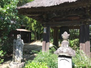 新居山 円応寺の参拝記録(ロカさん)