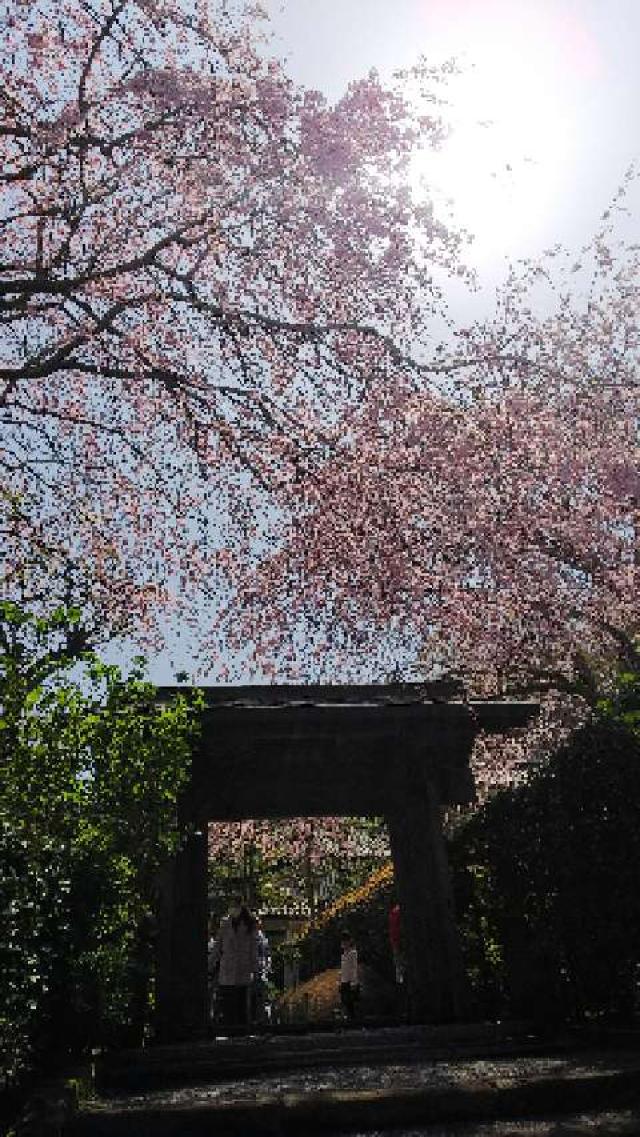 神奈川県鎌倉市山ノ内189 福源山 明月院の写真4