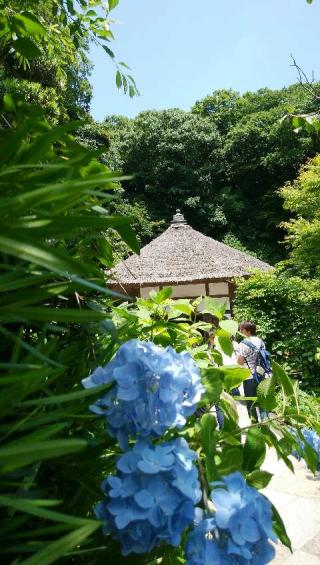 福源山 明月院の参拝記録(たまりんさん)