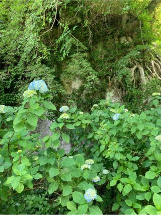福源山 明月院の参拝記録(カネさん)