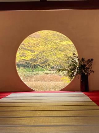 福源山 明月院の参拝記録(チョコバナナさん)