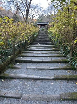 福源山 明月院の参拝記録(からしさん)