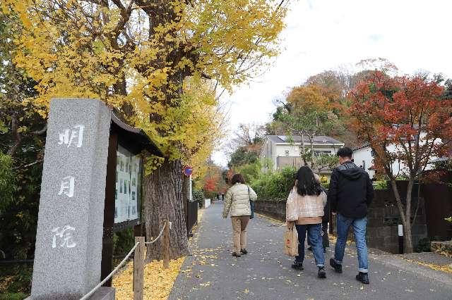 福源山 明月院の参拝記録8