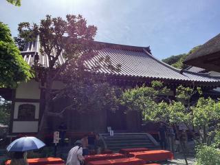 佛日庵（円覚寺塔頭）の参拝記録(山ちゃんさん)