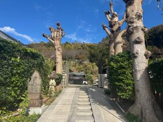 白雲庵の参拝記録(ひろたかさん)