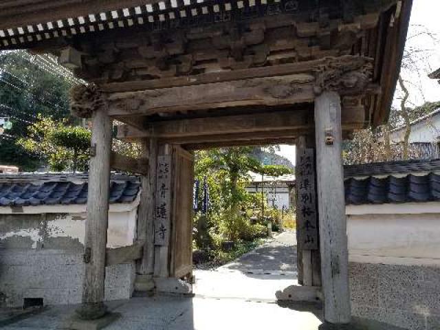 飯盛山 仁王院 青蓮寺の参拝記録10