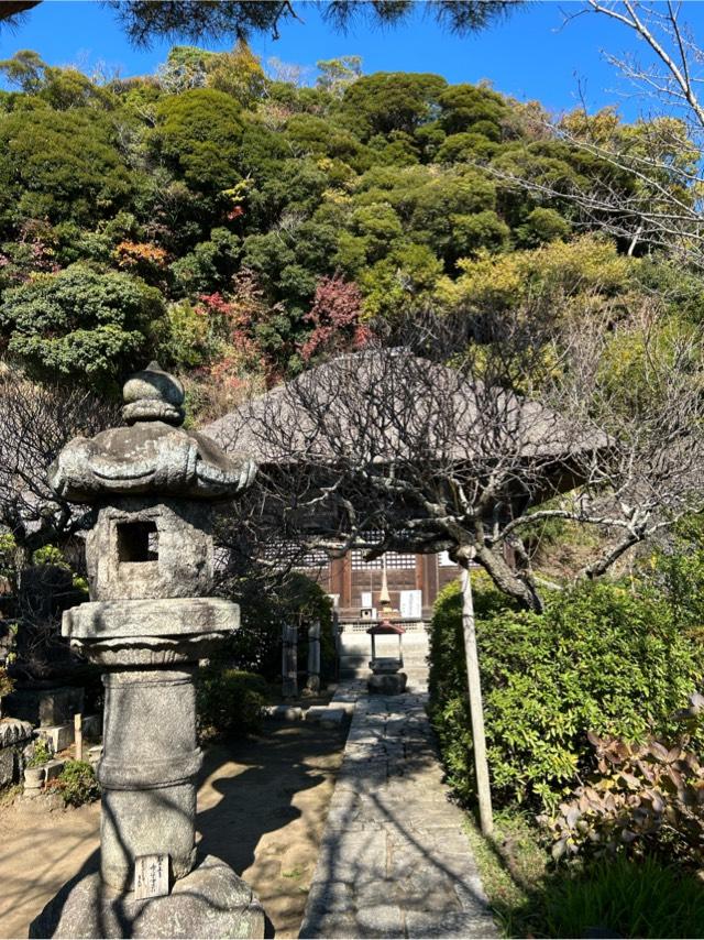飯盛山 明王院の参拝記録