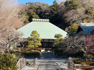 稲荷山 浄妙広利禅寺(浄妙寺)の参拝記録(ぶんじさん)