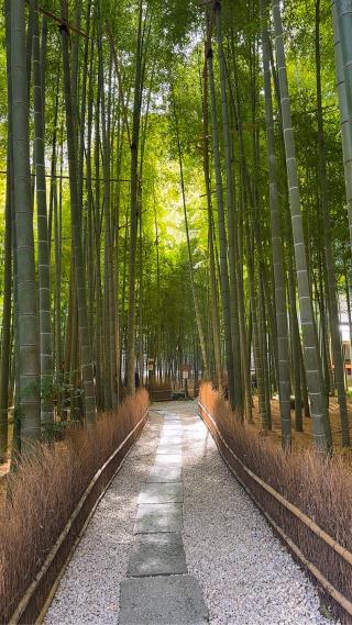 功臣山 報国寺の参拝記録(TSさん)