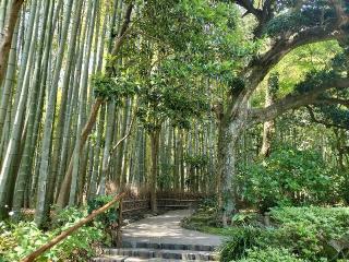 功臣山 報国寺の参拝記録(ハシさん)