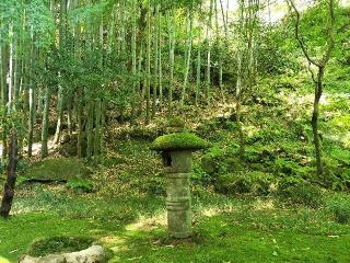 功臣山 報国寺の参拝記録(ハシさん)