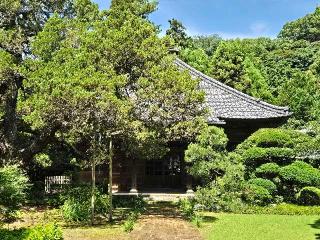 亀谷山 寿福金剛禅寺(寿福寺)の参拝記録(まーくんさん)