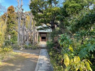 常楽寺の参拝記録(DADAさん)