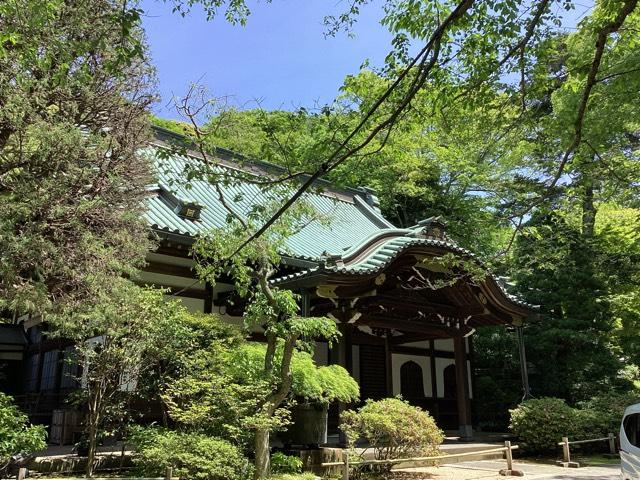 長興山　妙本寺の参拝記録4