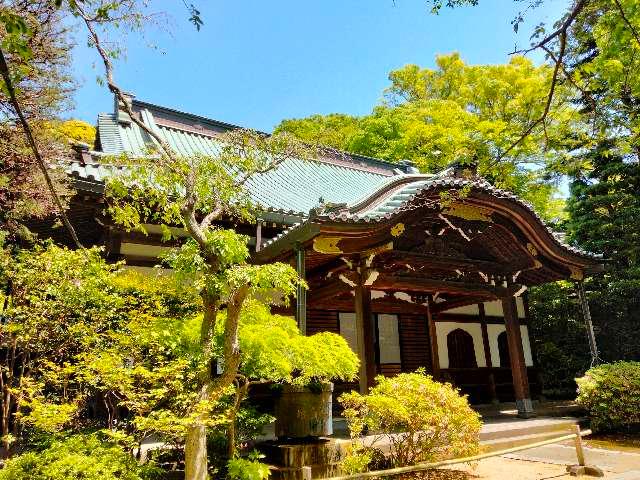 長興山　妙本寺の参拝記録5