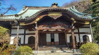 長興山　妙本寺の参拝記録(からあげさん)