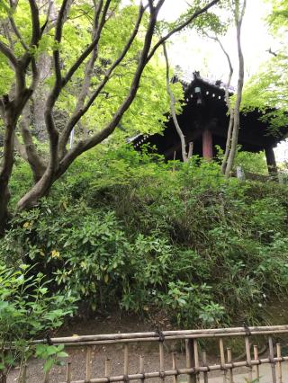 長興山　妙本寺の参拝記録(ロカさん)