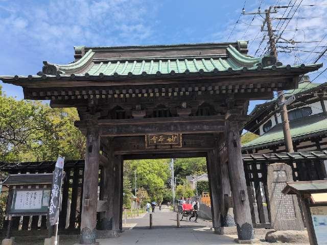 長興山　妙本寺の参拝記録4