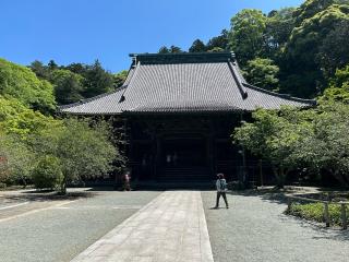 長興山　妙本寺の参拝記録(けんじさん)