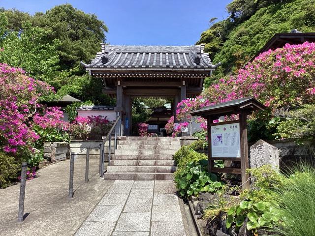 祇園山 安養院 田代寺（田代観音）の参拝記録5