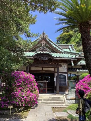 祇園山 安養院 田代寺（田代観音）の参拝記録(山ちゃんさん)