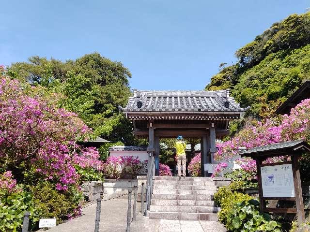 祇園山 安養院 田代寺（田代観音）の参拝記録6