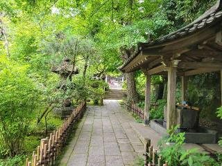 妙法華経山 安国論寺の参拝記録(まっきーさん)