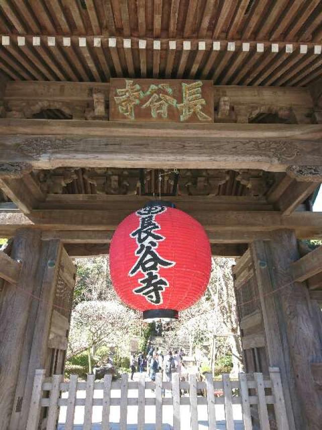神奈川県鎌倉市長谷3-11-2 海光山 長谷寺（長谷観音）の写真2