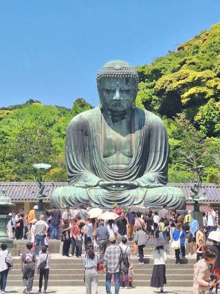 大異山 高徳院 清浄泉寺（鎌倉大仏）の参拝記録(まーさんさん)