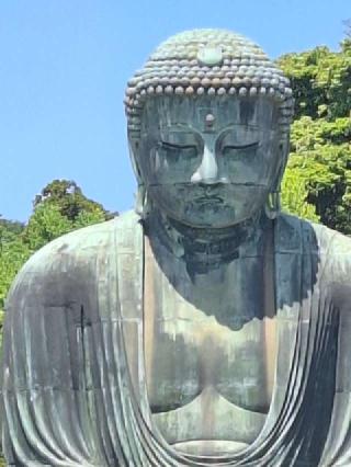 大異山 高徳院 清浄泉寺（鎌倉大仏）の参拝記録(まーさんさん)