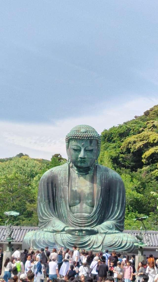 大異山 高徳院 清浄泉寺（鎌倉大仏）の参拝記録