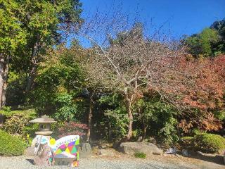 鷲峰山 覚園寺の参拝記録(まっきーさん)