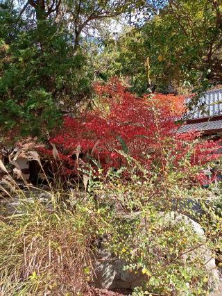鷲峰山 覚園寺の参拝記録(トカさんさん)