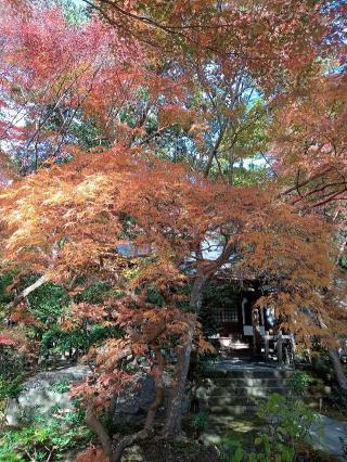 鷲峰山 覚園寺の参拝記録(トカさんさん)