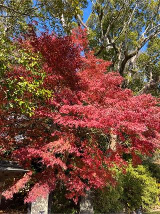 鷲峰山 覚園寺の参拝記録(ロカさん)