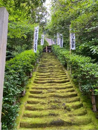 大蔵山 杉本寺（杉本観音）の参拝記録(チョコバナナさん)