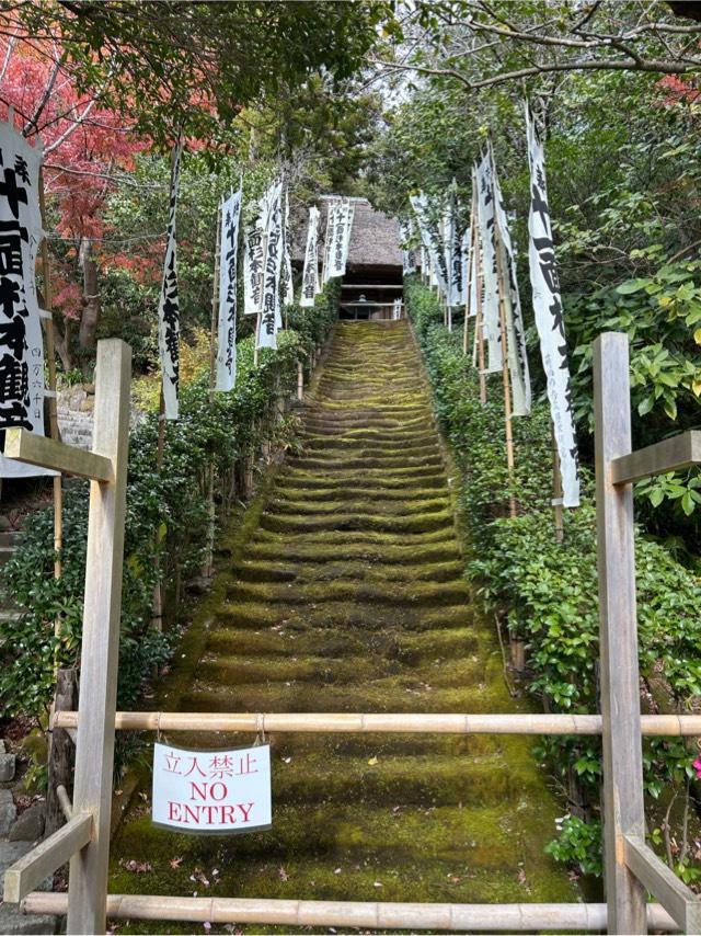 大蔵山 杉本寺（杉本観音）の参拝記録10