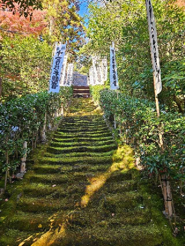 大蔵山 杉本寺(杉本観音)の参拝記録10
