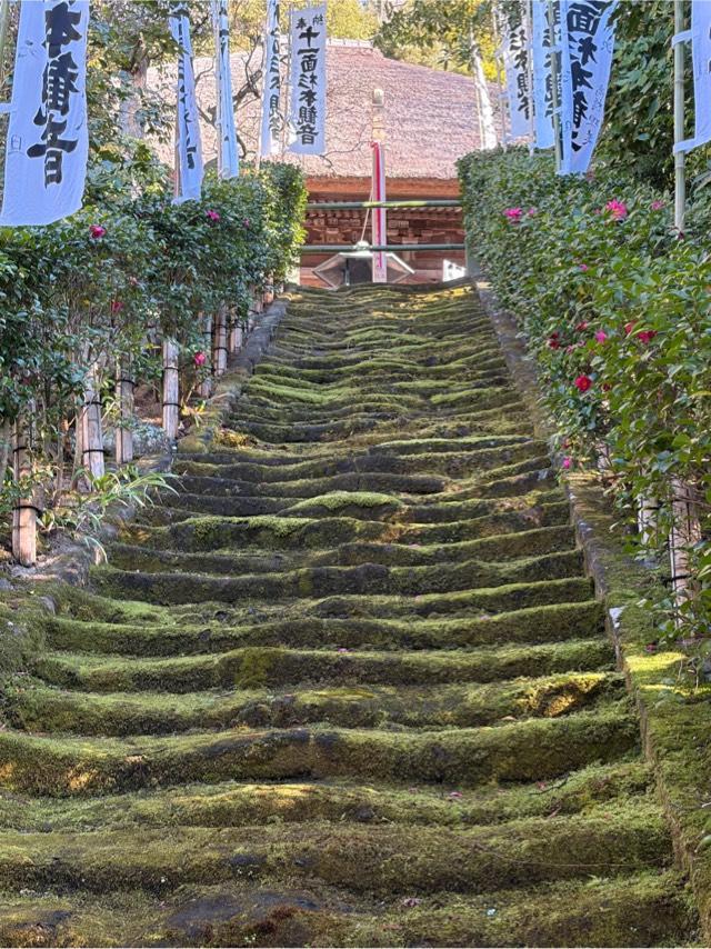 大蔵山 杉本寺（杉本観音）の参拝記録10