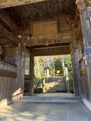 大蔵山 杉本寺（杉本観音）の参拝記録(ぶんじさん)