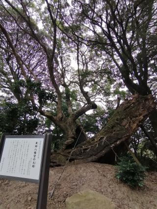 松峽八幡宮の参拝記録(トモさん)