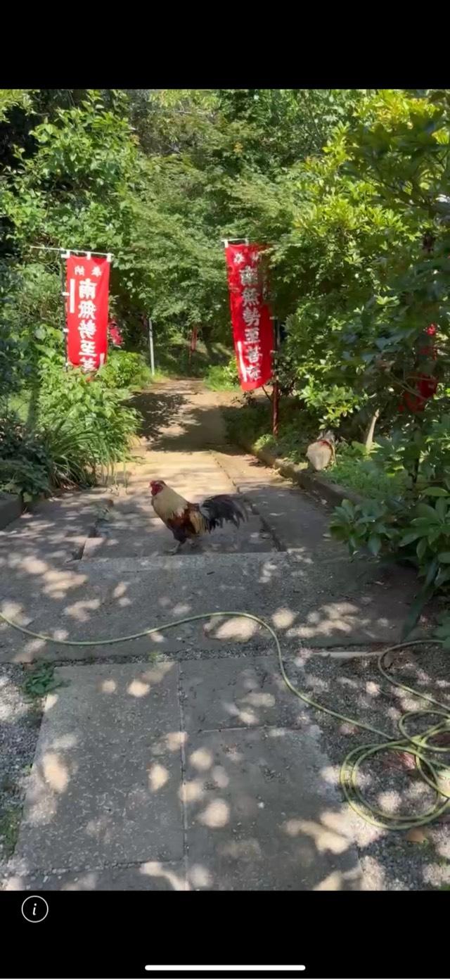 七沢観音寺の参拝記録2
