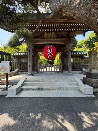 飯上山 如意輪院 長谷寺(飯山観音）の参拝記録(はちさん)